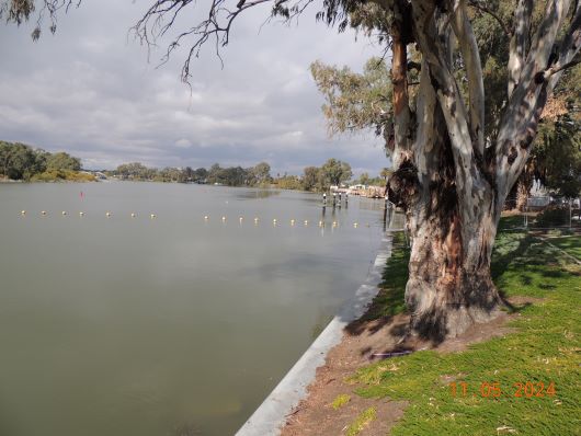 Murray in Renmark